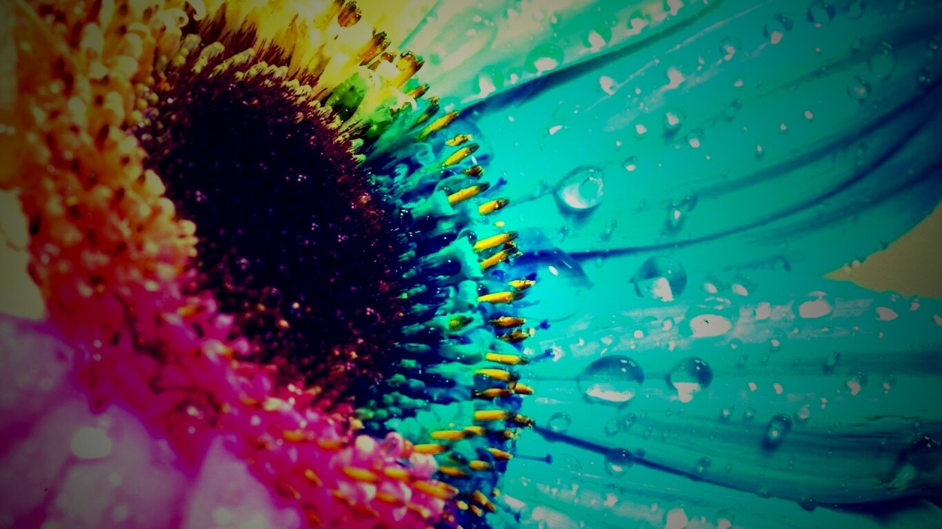 Цветик семицветик обои