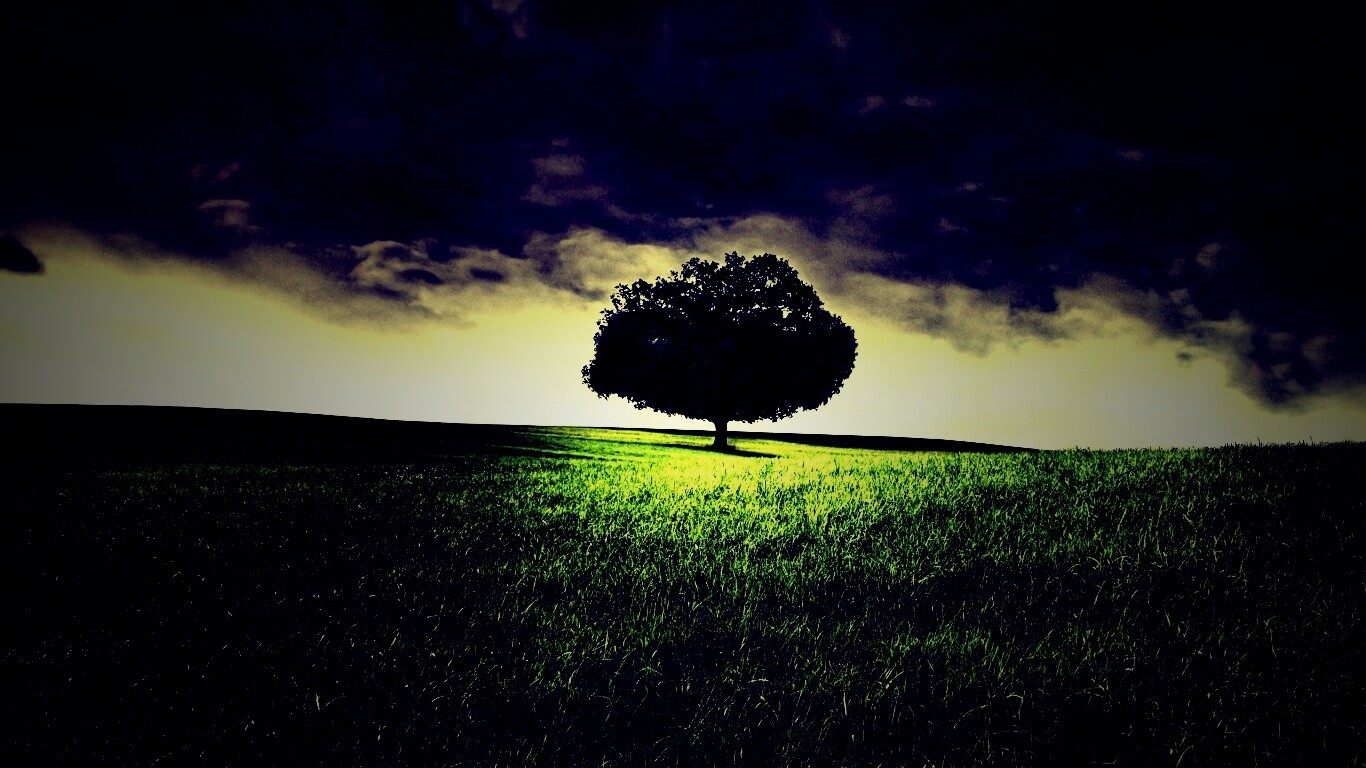 Одинокое дерево под грозовым небом обои