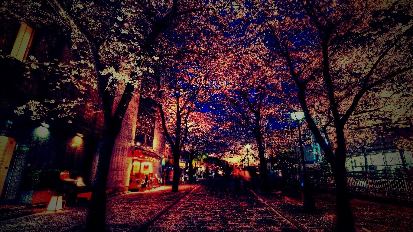 Аллея лепестков обои