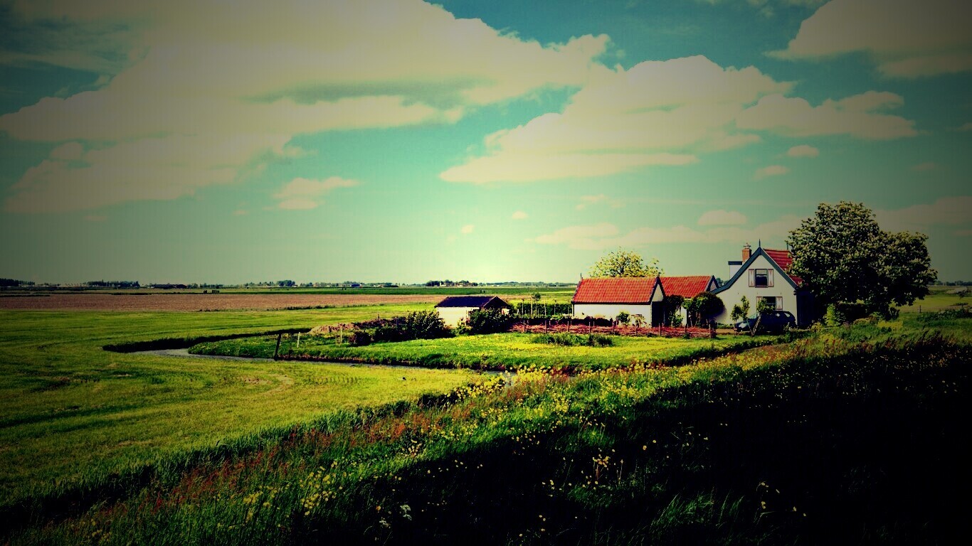 дом на лугу обои