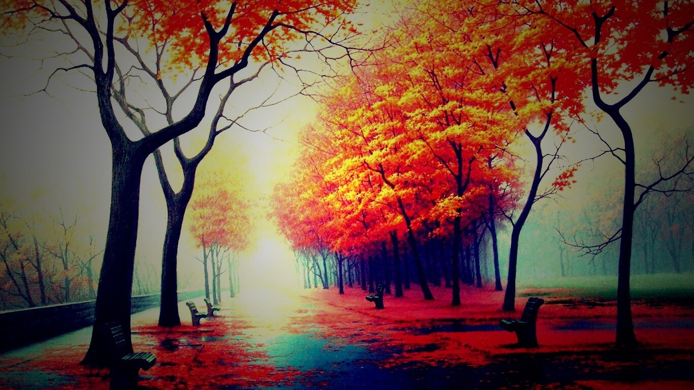 Дорога в осень обои