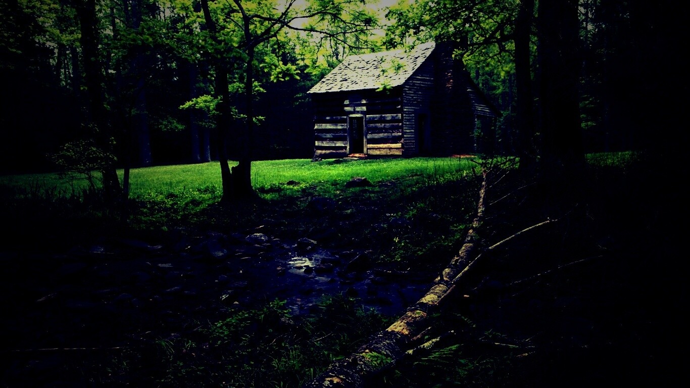 Домик в лесу обои