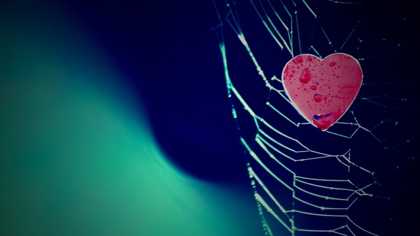 Сердце в паутине обои
