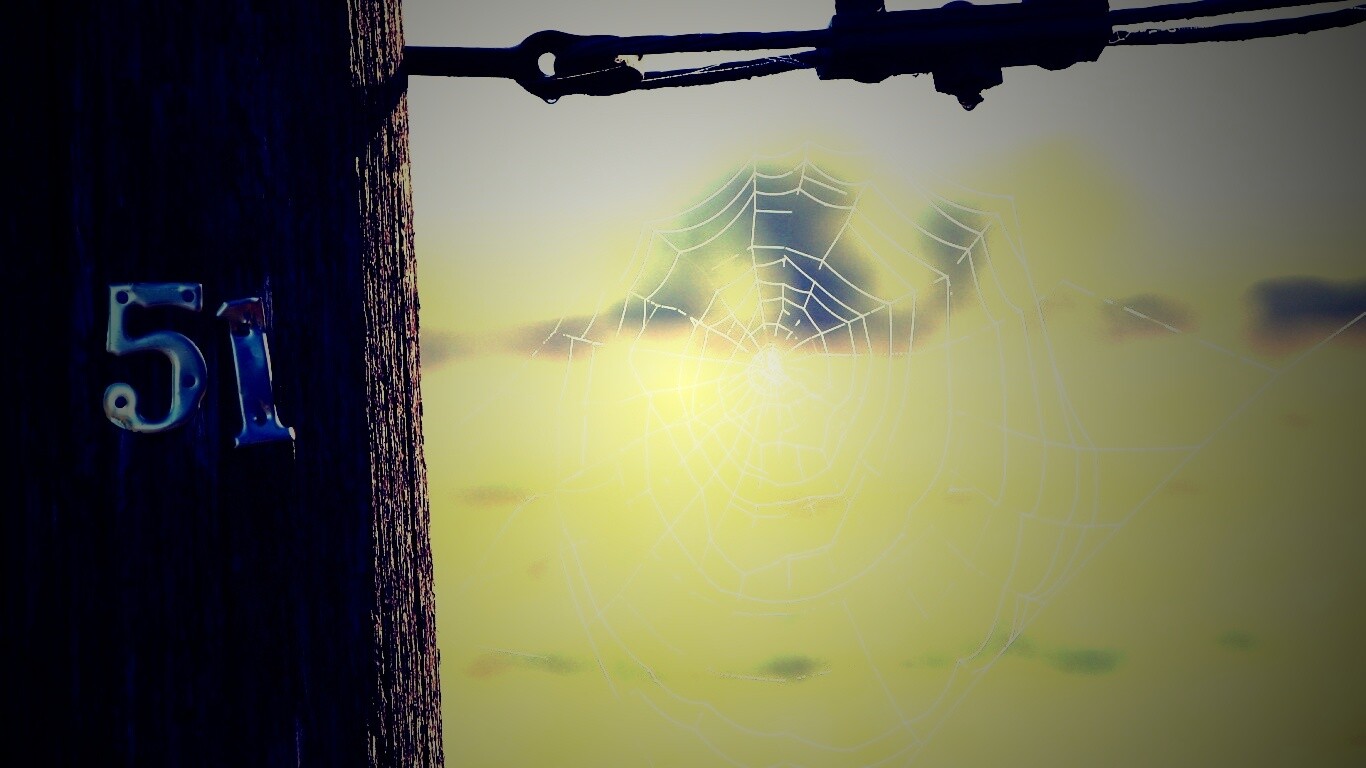 Паутина 51 обои