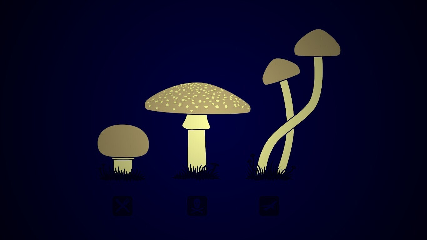 Грибочки обои