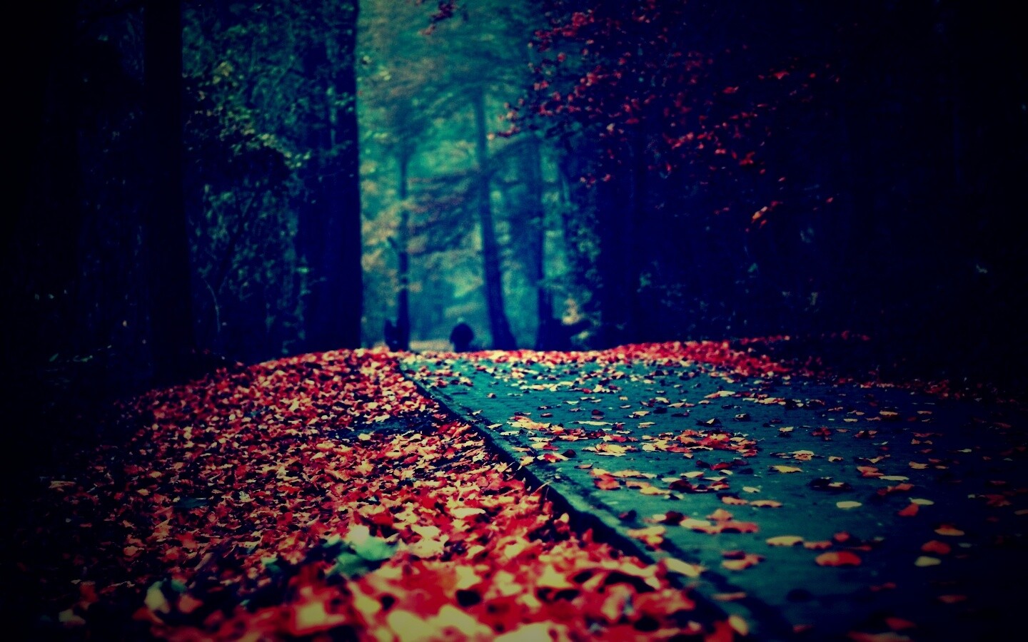 Осенняя дорога обои