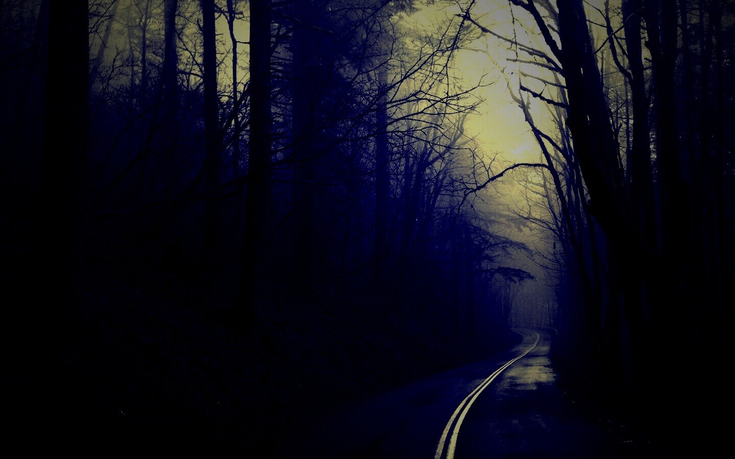 В туман обои