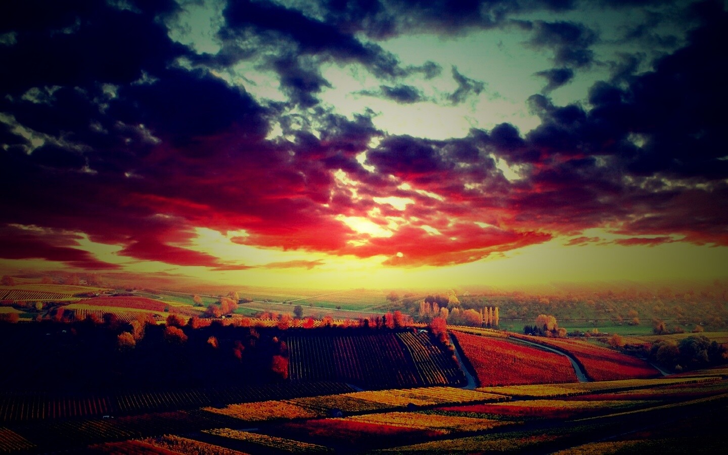 Обработанные земли в пригороде обои