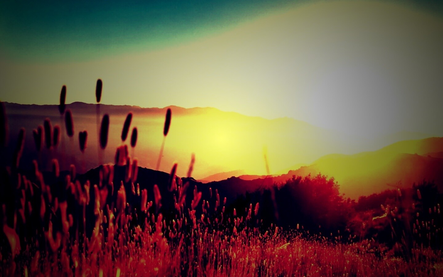 Восход над холмами обои