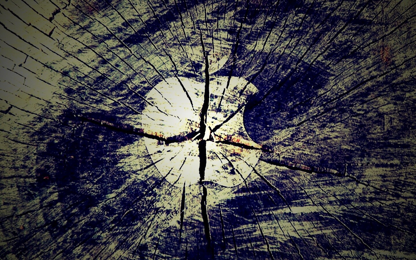 Логотип Apple на бревне обои