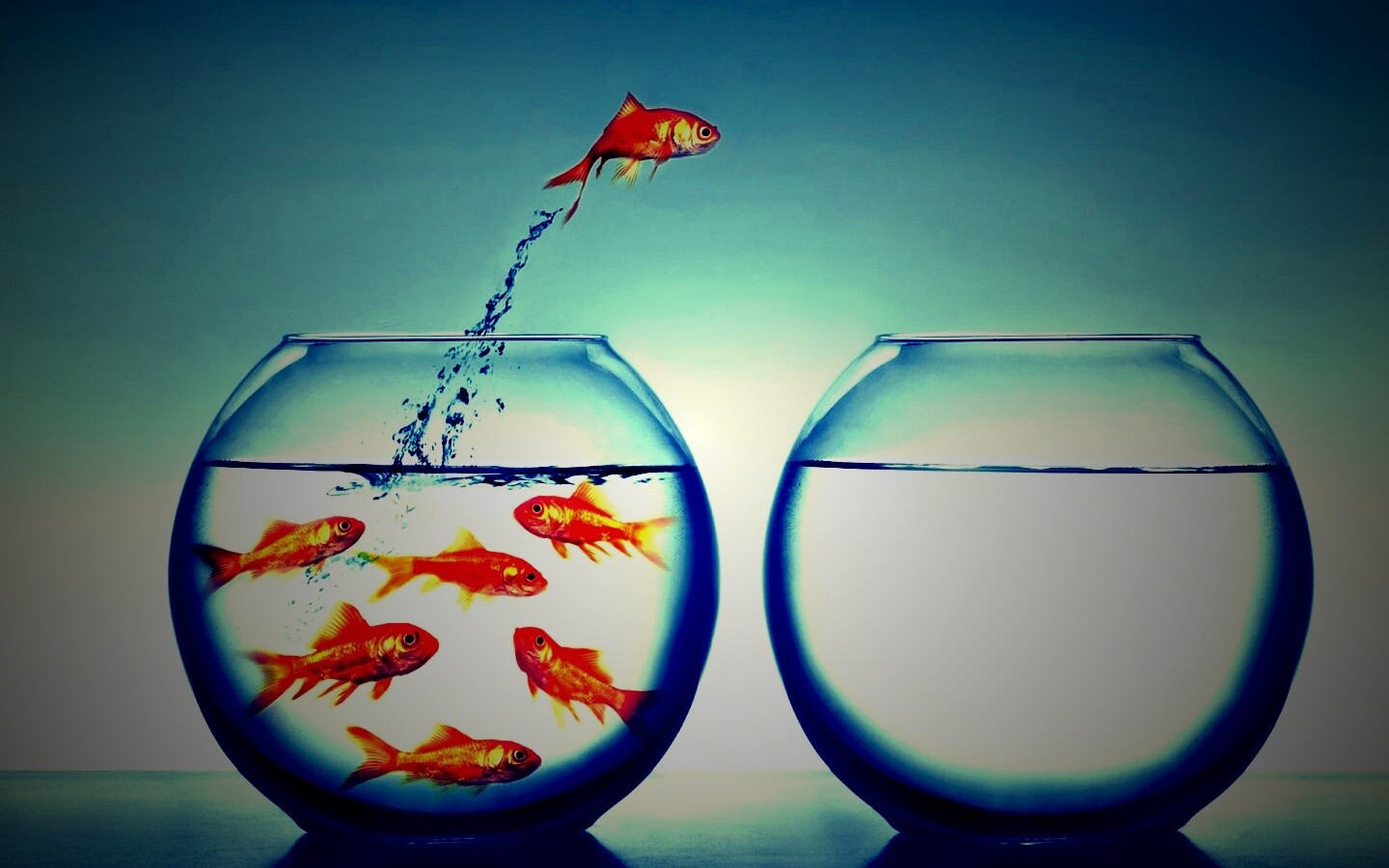 Побег рыбки обои