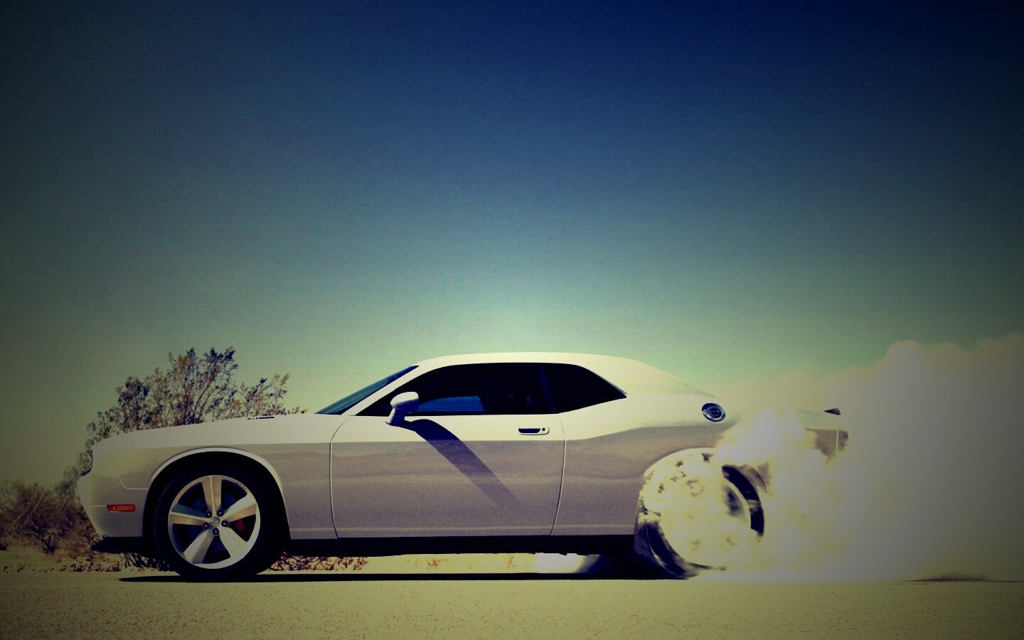 Стартующий Форд Мустанг обои