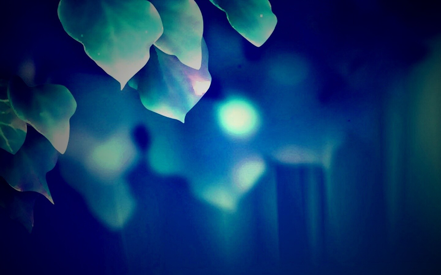 Синие листья обои