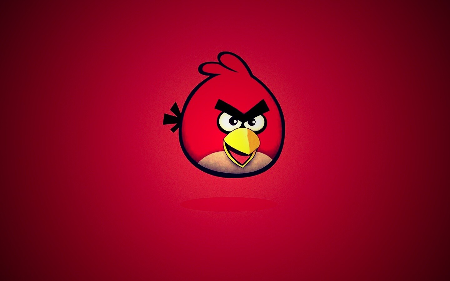 Красная птица из Angry Birds обои