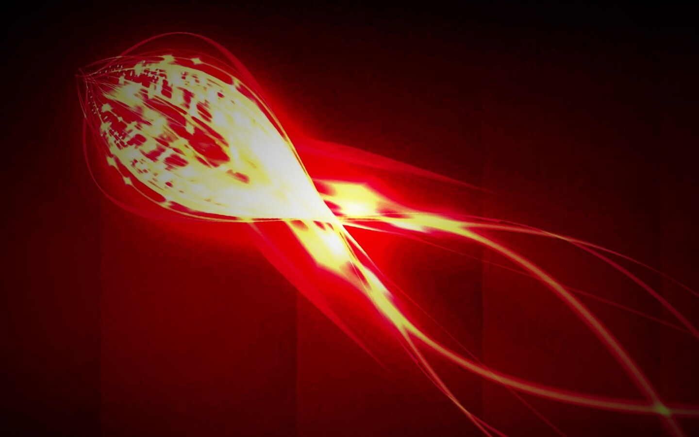 Сгусток красных линий обои