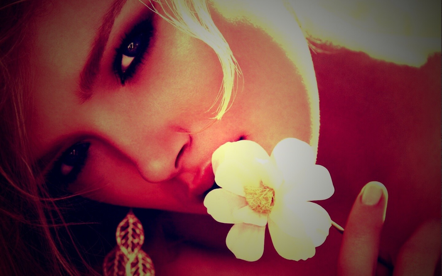 Красавица с белым цветком обои