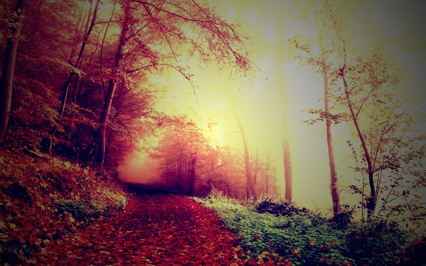 Осенний мистический пейзаж обои