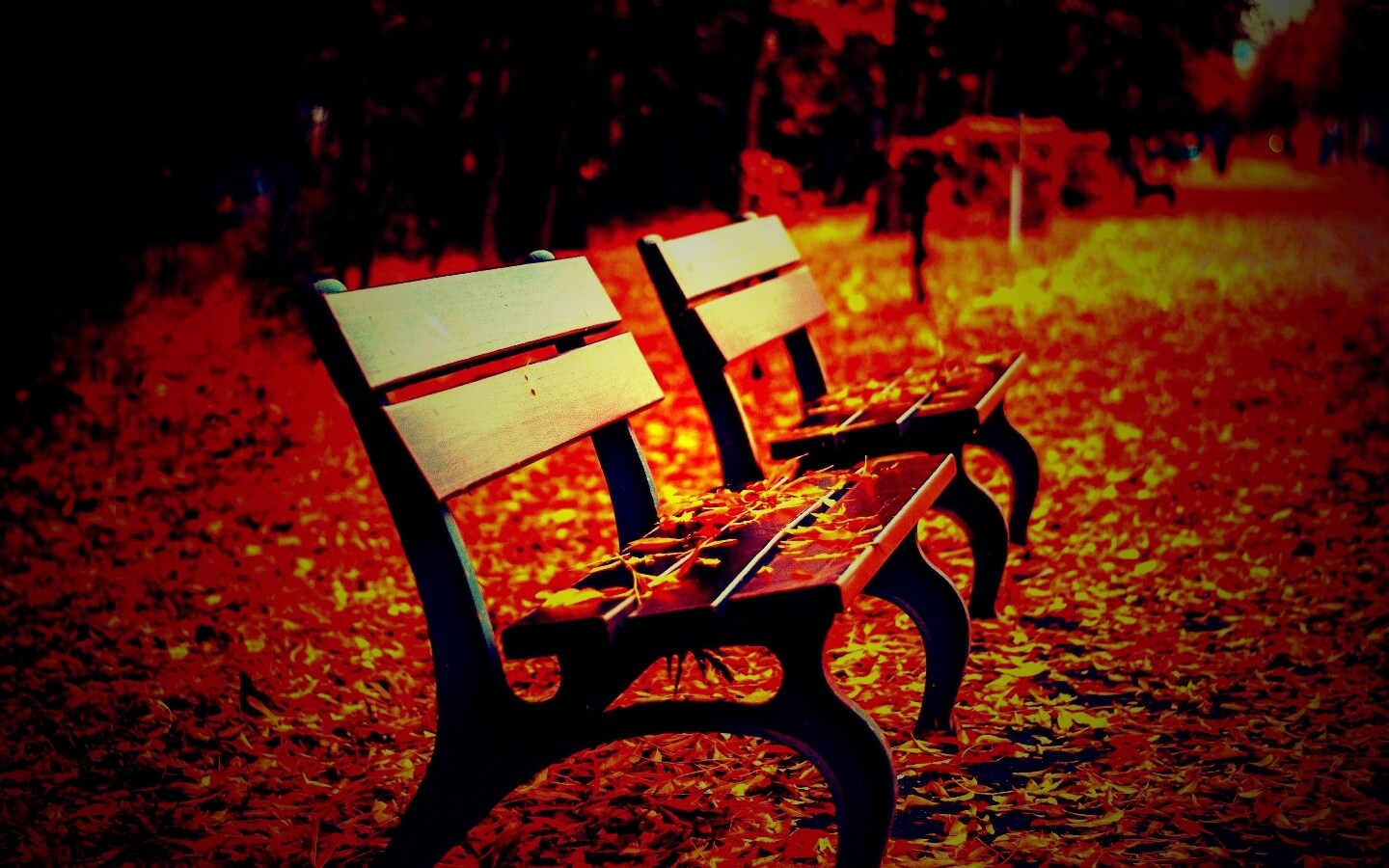 Лавочки в осеннем парке обои