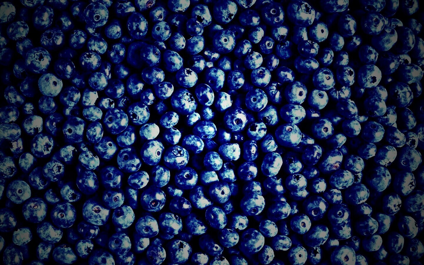 Черника обои