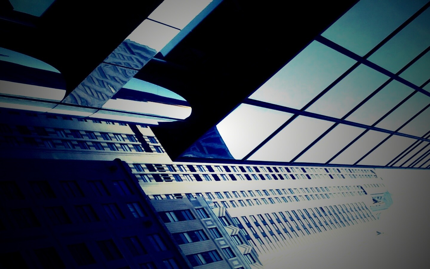 Взгляд вверх обои