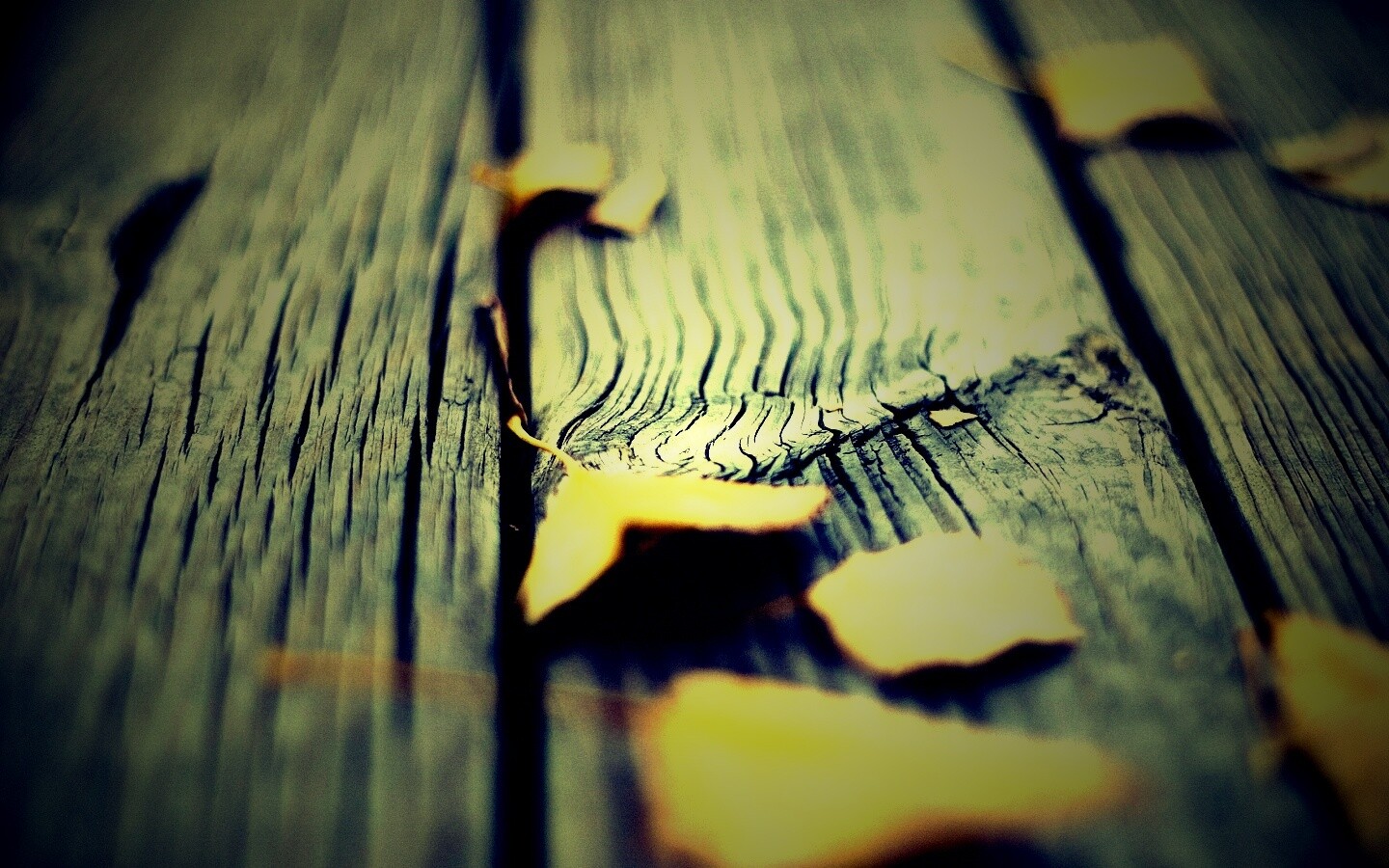 Листья на дощатом полу обои