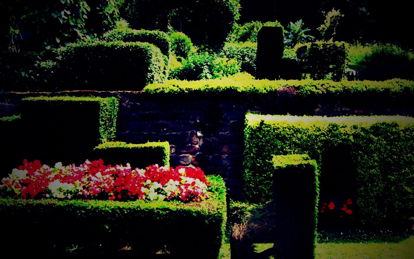 Декоративный сад обои