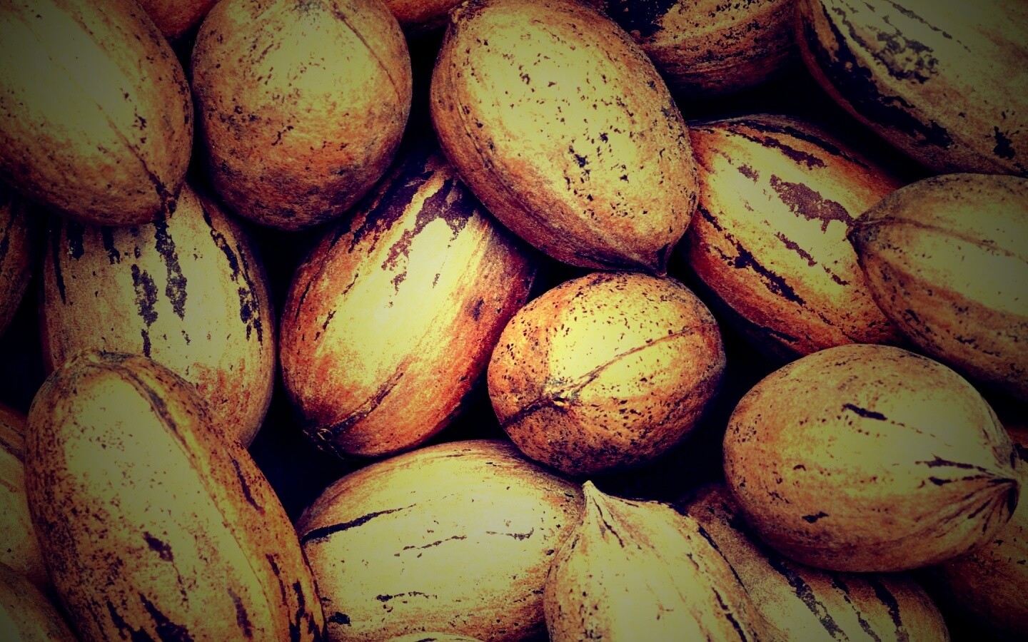 Грецкие орехи обои