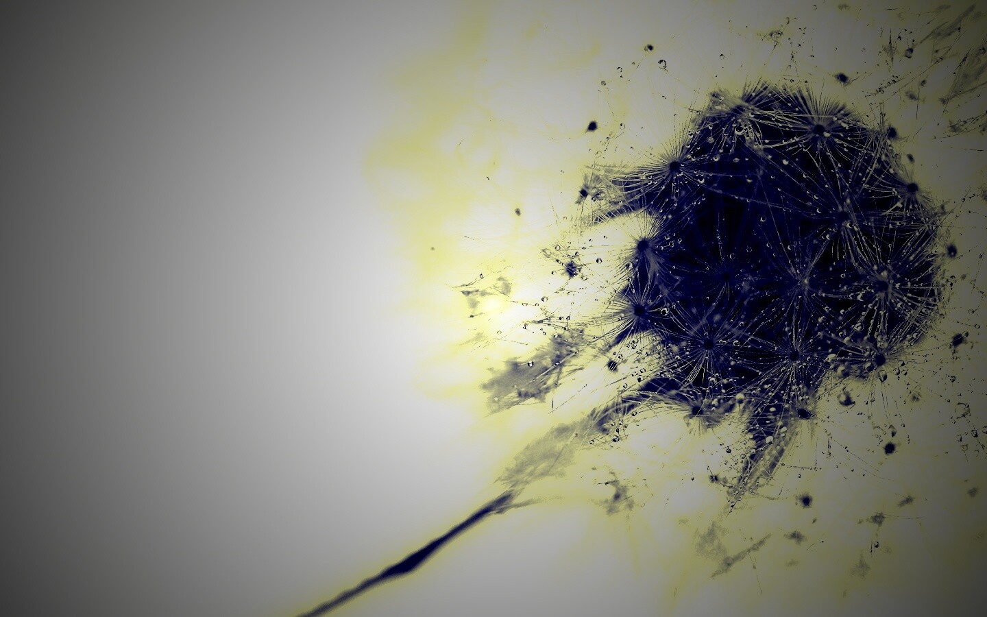 Одуванчик  обои