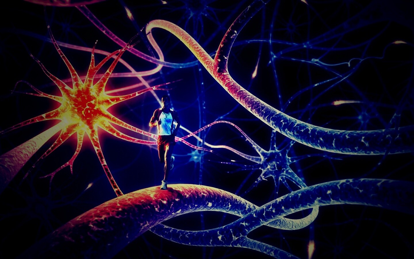 Бег мыслей обои