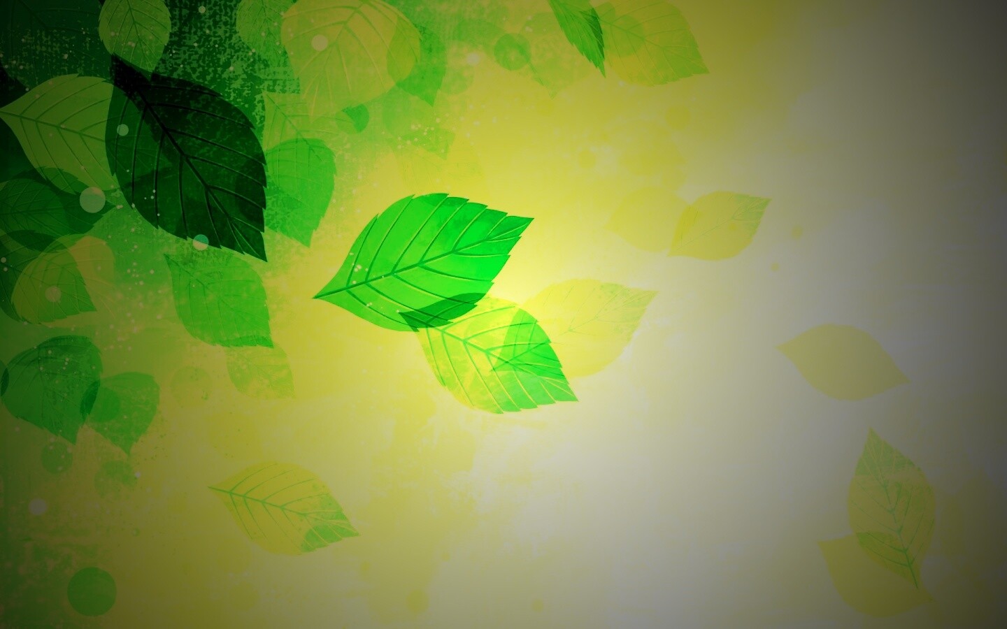 Прозрачные листья обои
