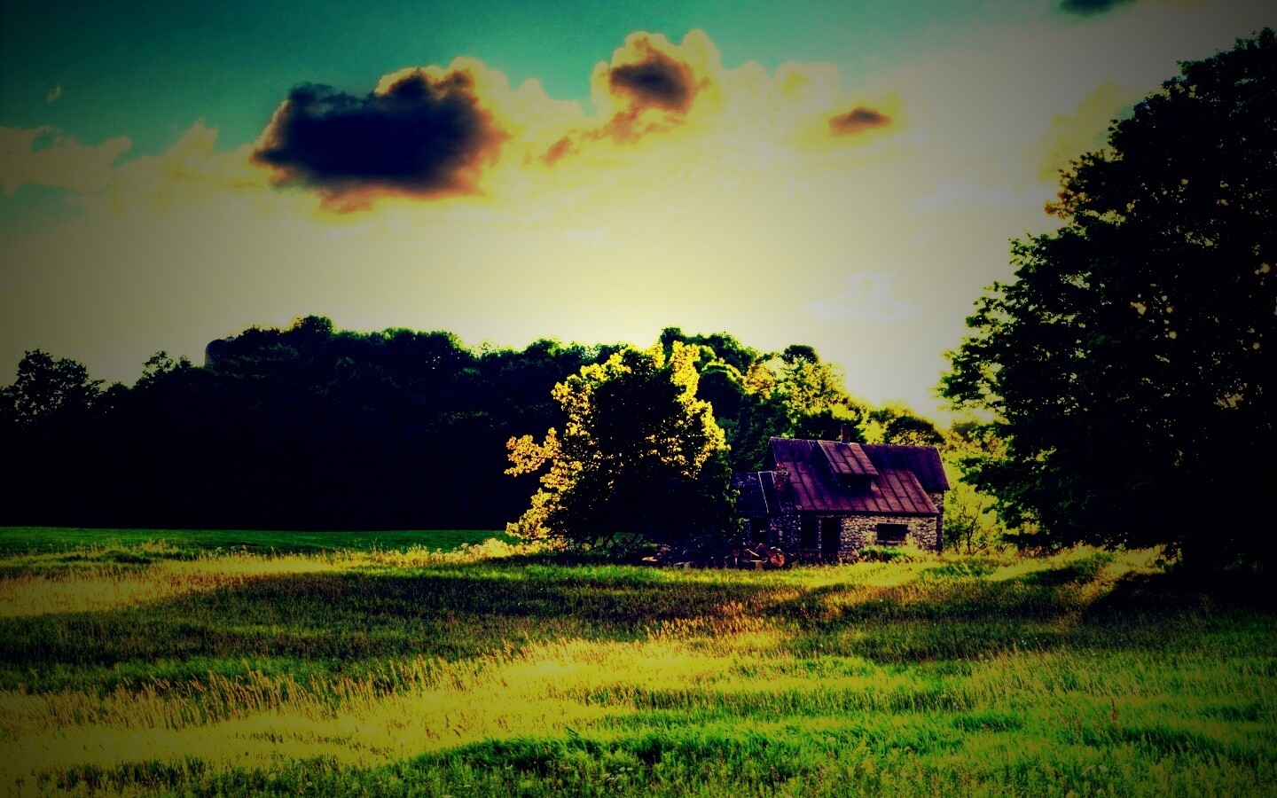 Домик в лесу обои