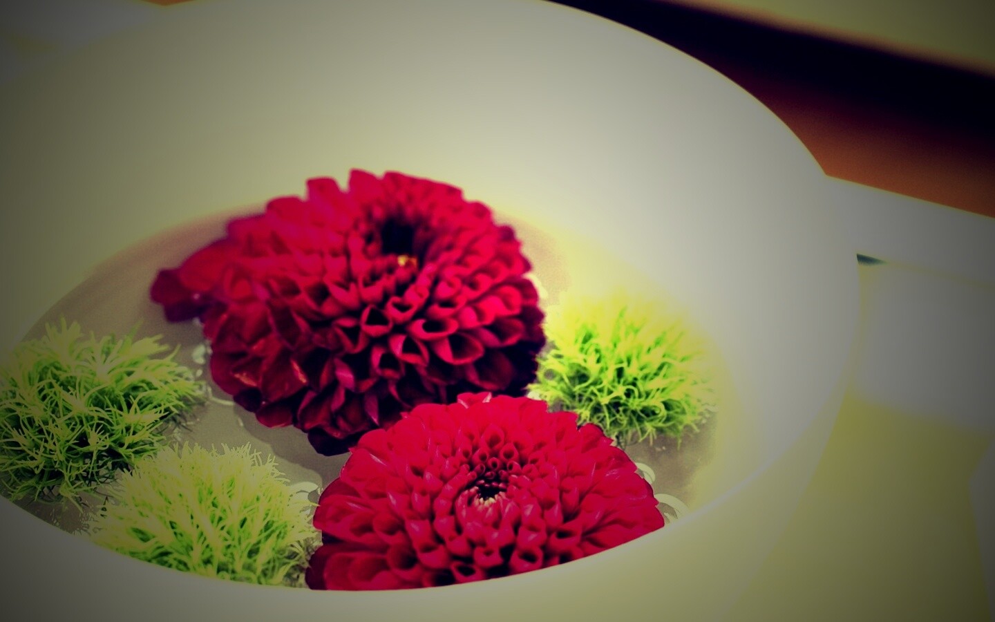 Чаша с цветами обои