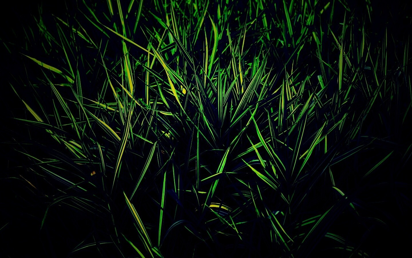 Дикая трава обои