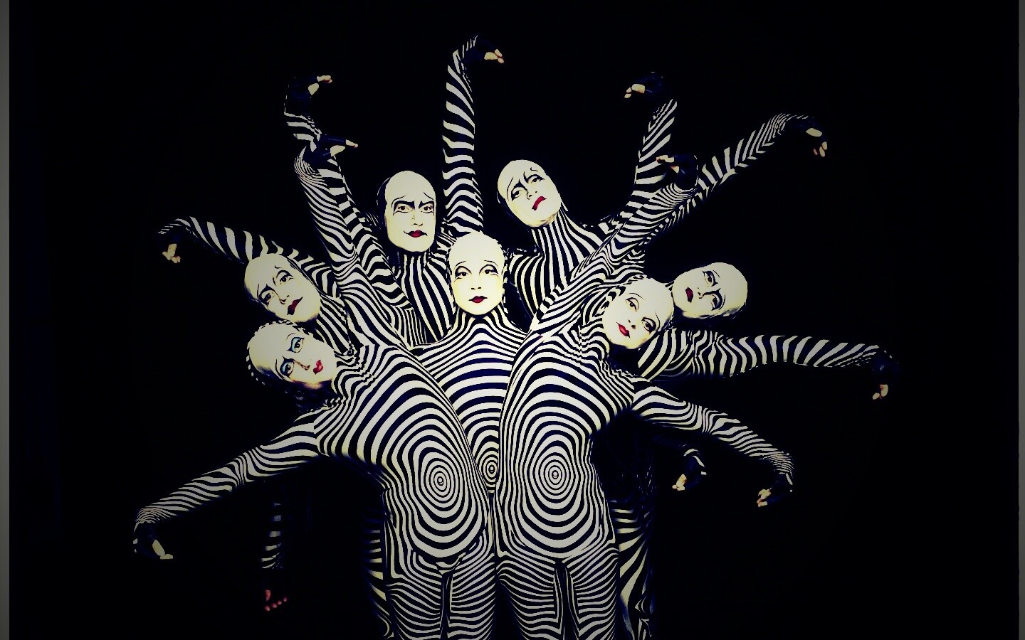 Зеброиды (актеры цирка дю солей) обои