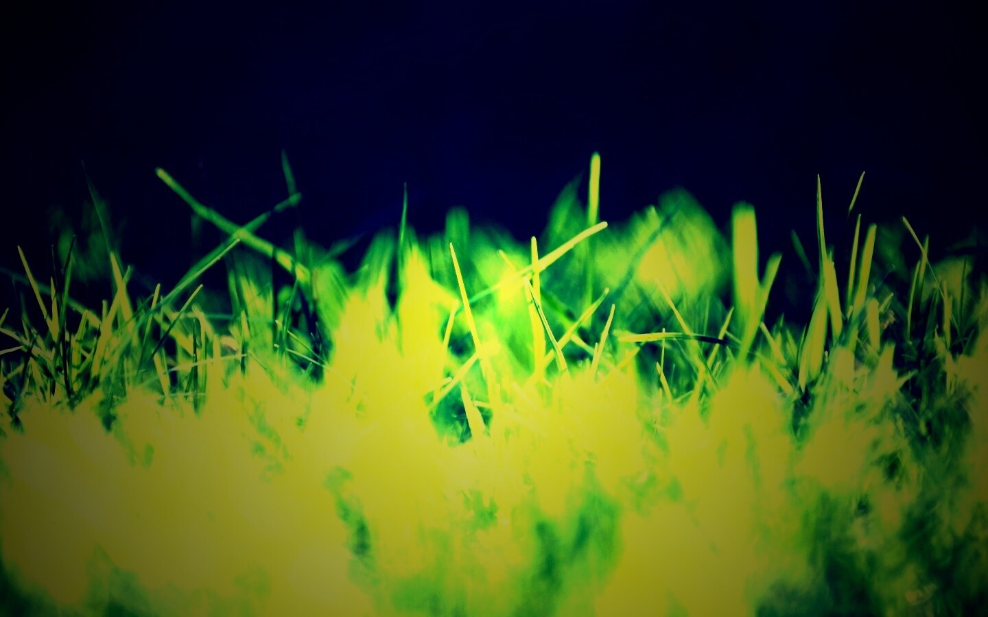 Играя солнечным светом обои