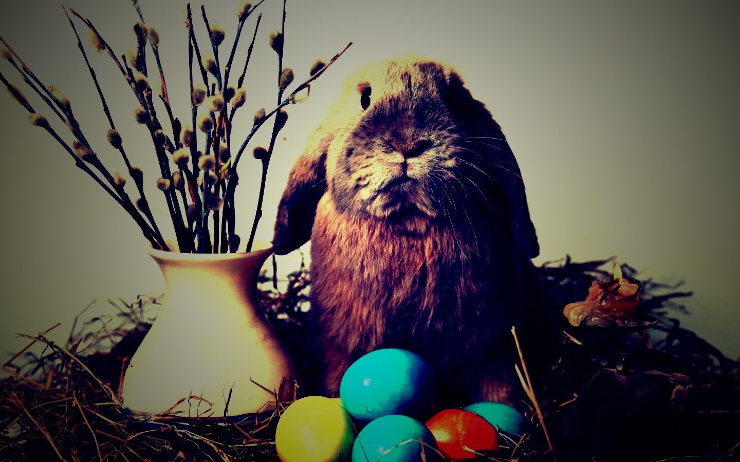 Пасхальный кролик обои