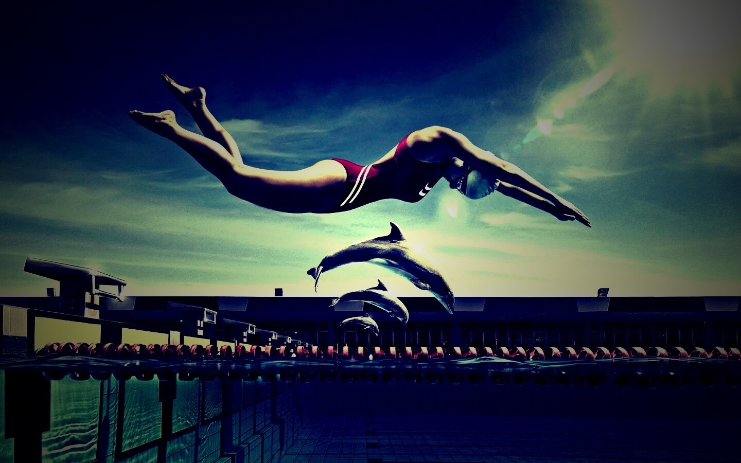 Соревнование обои