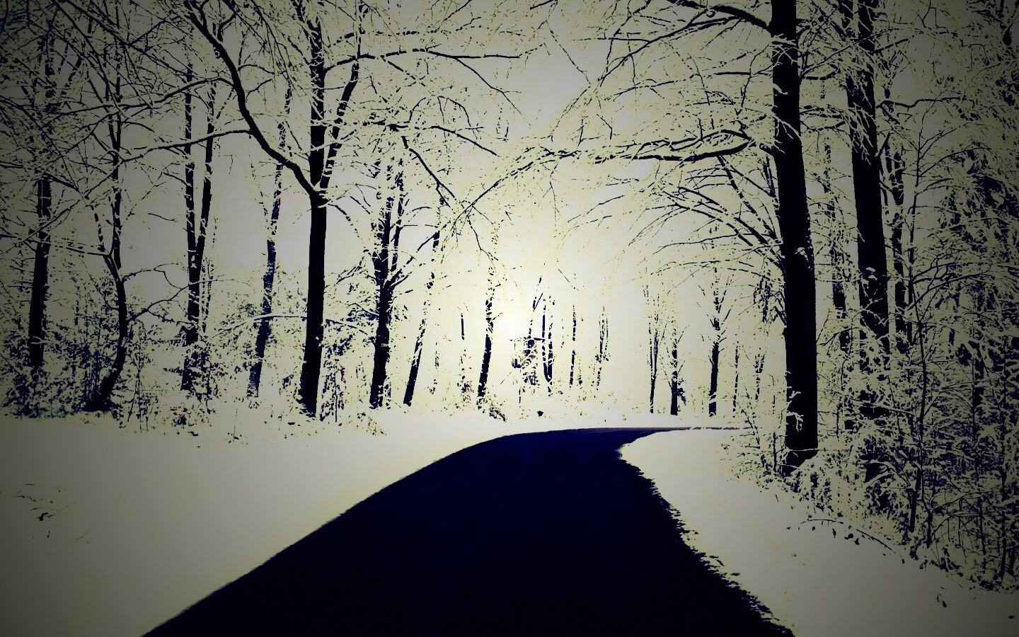 Дорога в зимнем лесу обои