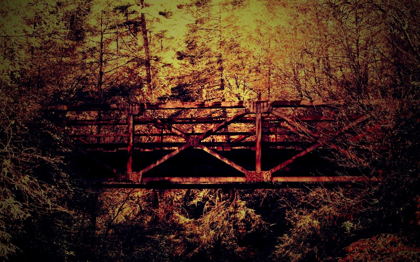 Металлический мост в лесной глуши обои