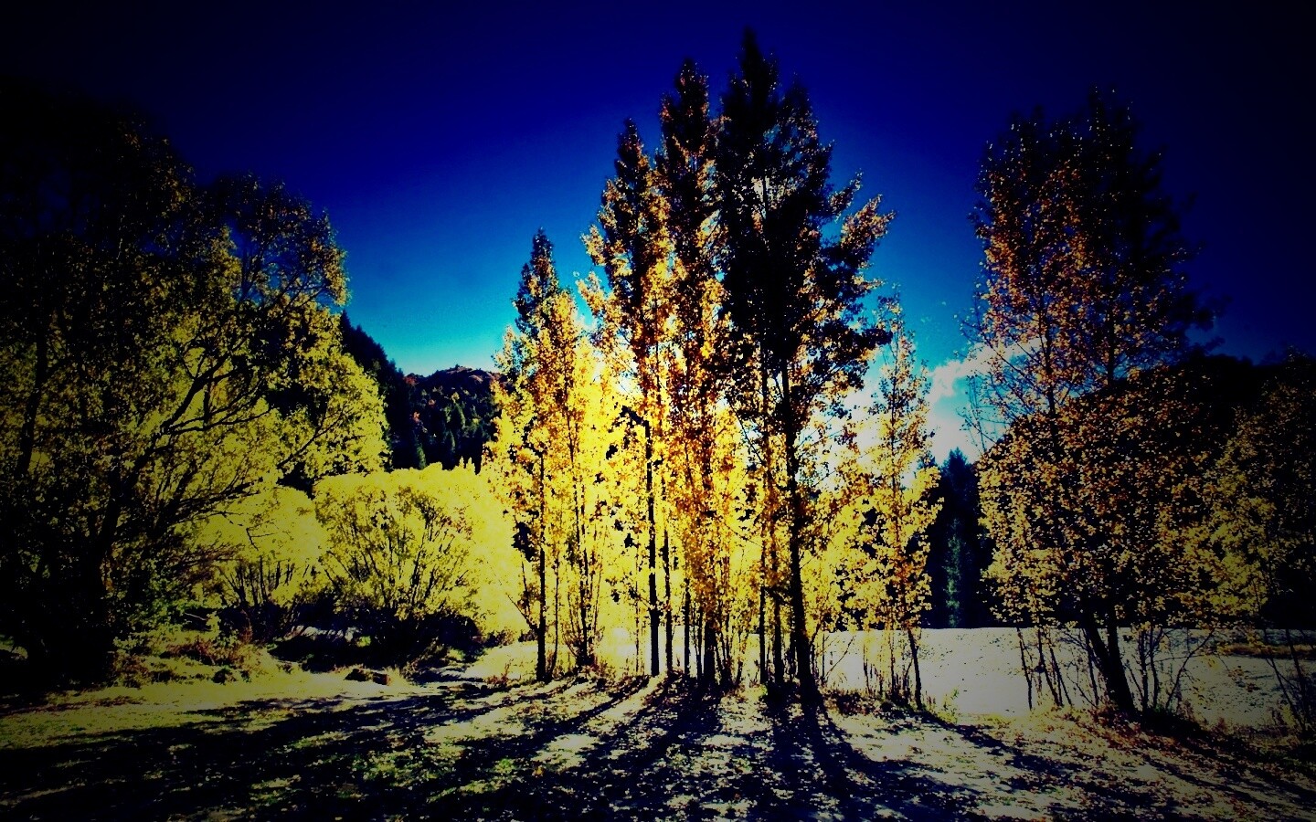 Осень в Новой Зеландии обои