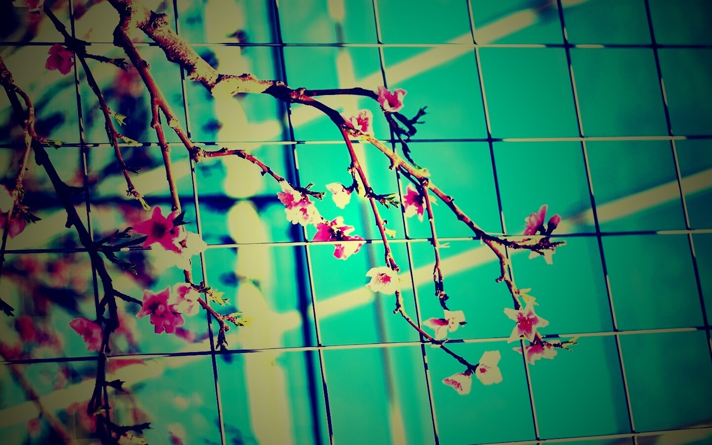 Ветка за сеткой обои