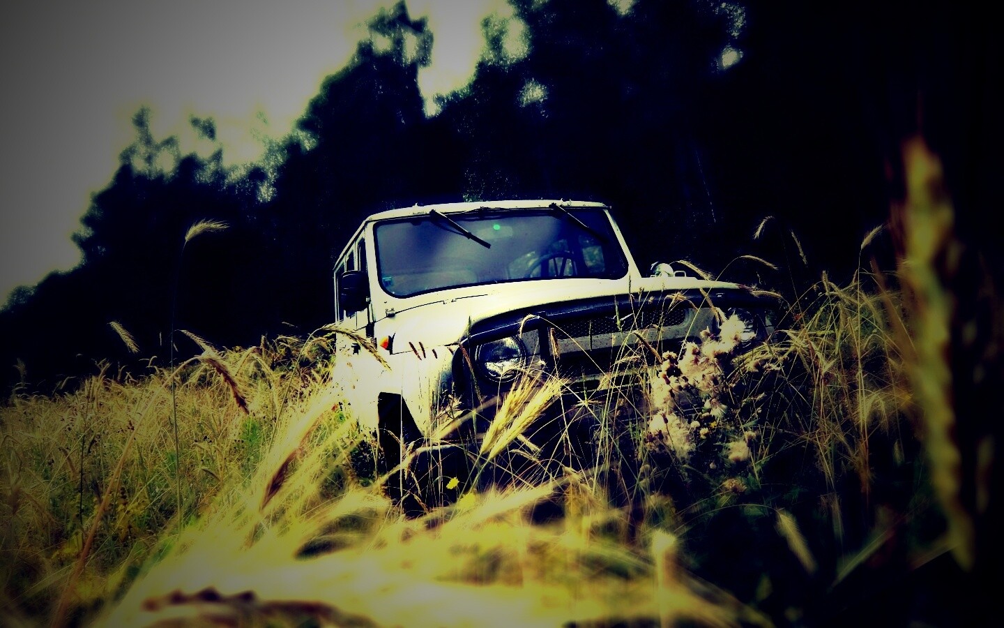 УАЗик в траве обои