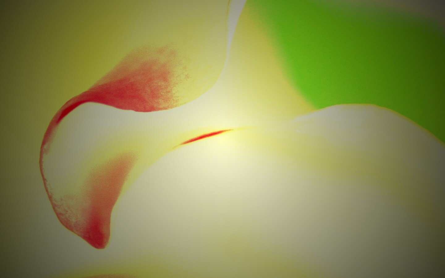 Оттенки природы обои