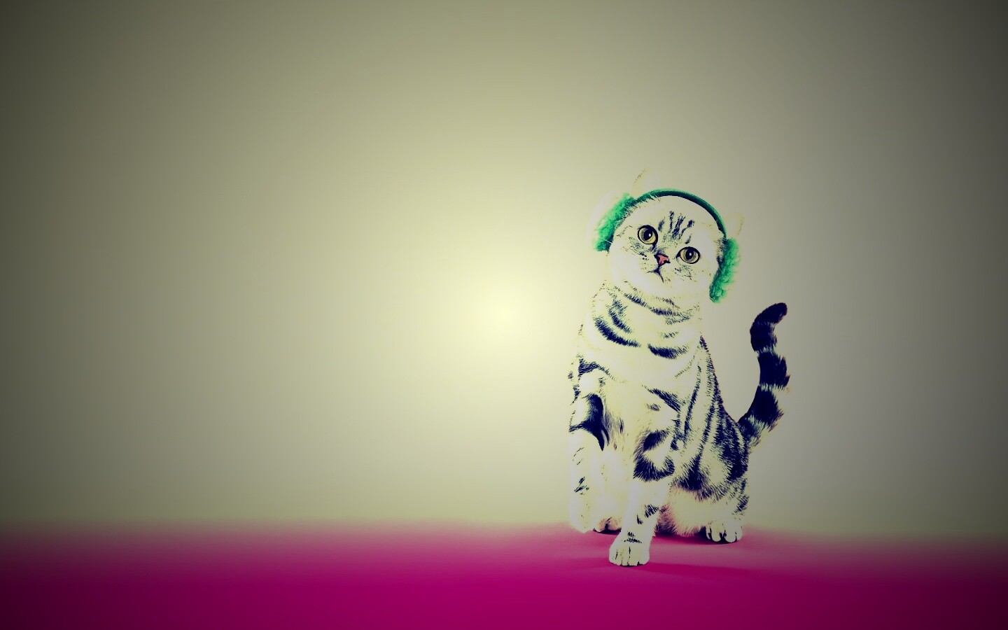 Кот в зеленых наушниках обои