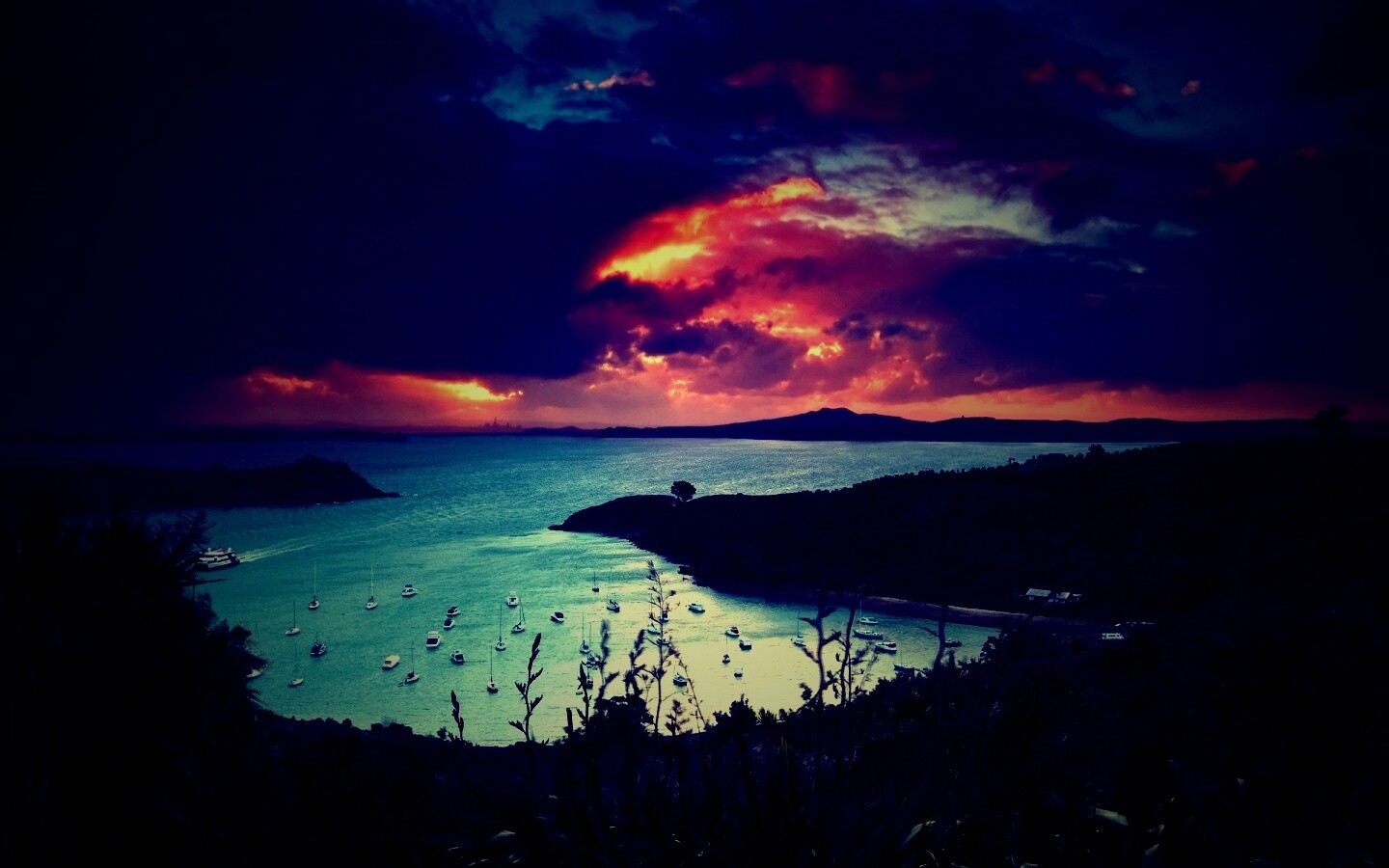 Waiheke Island, New Zealand обои