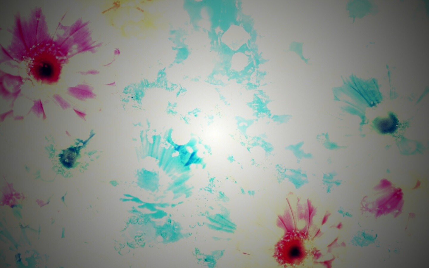 Цветочная эйфория обои