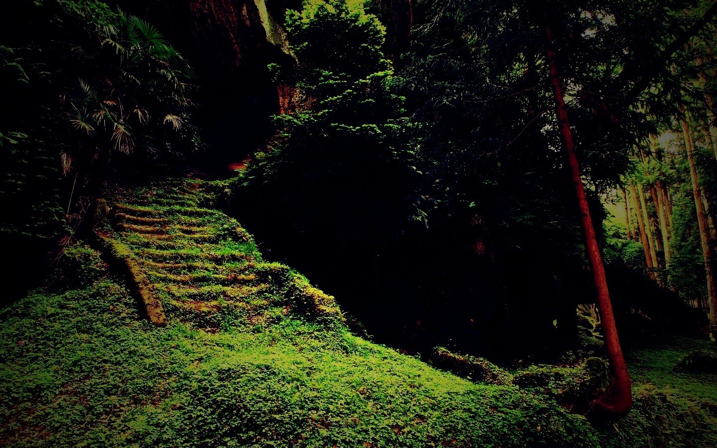 Старинный лесной храм обои