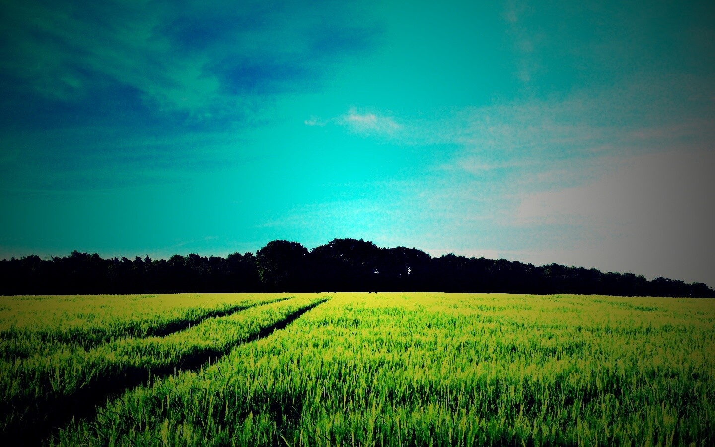 Следы колеи в поле обои