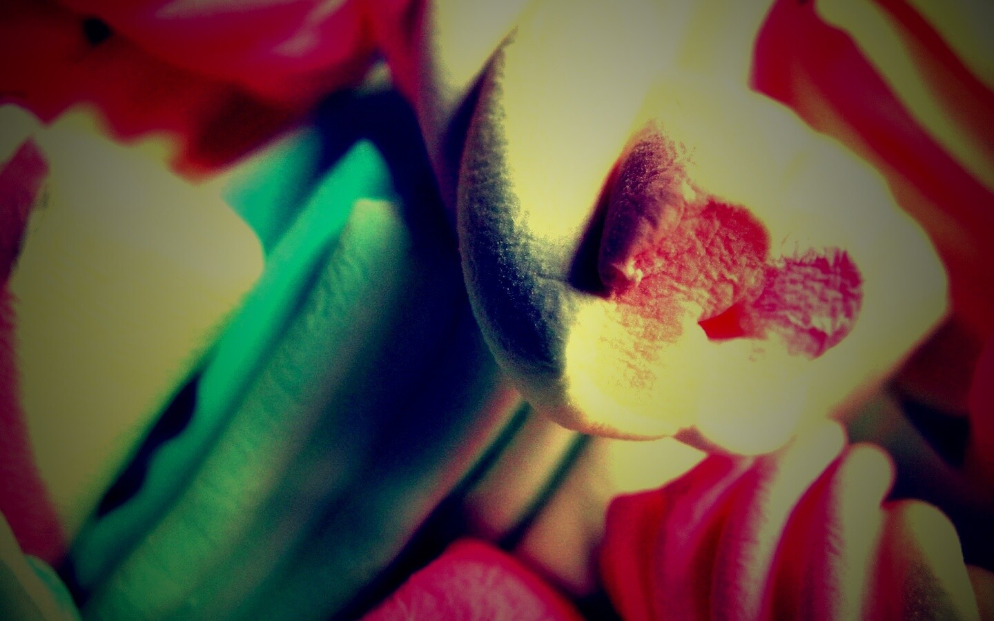 Кручёный зефир обои