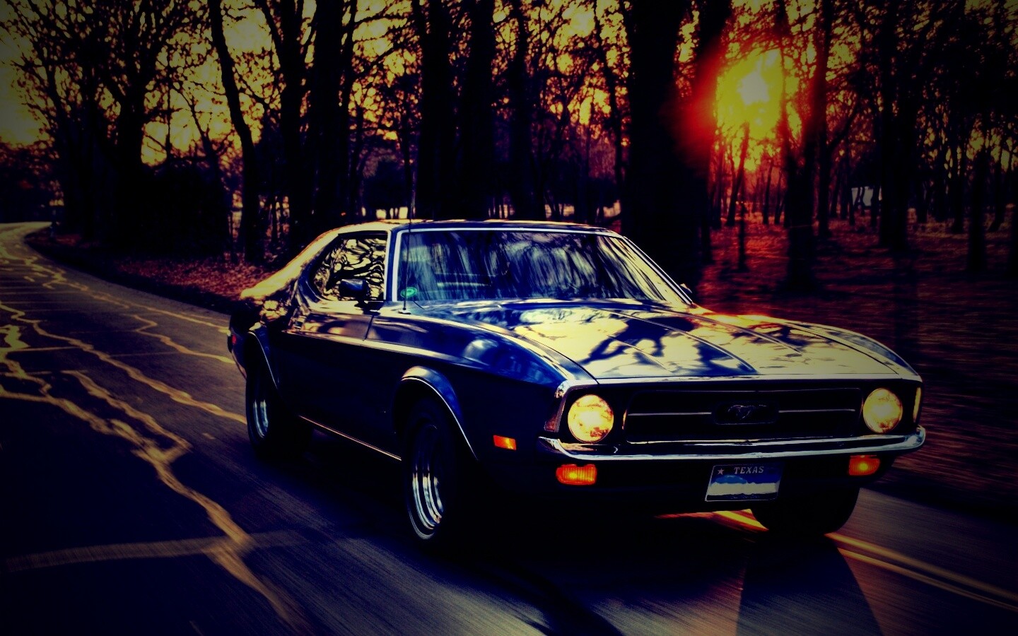 Мустанг обои